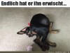 weiter