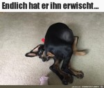 Er-hat-ihn-gefangen.jpg auf www.funpot.net