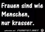 Krasser.jpg auf www.funpot.net