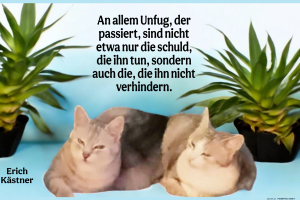 herz-Bild: an allem Unfug