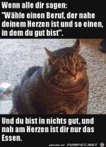 Katze-guckt-bedrckt.jpg auf www.funpot.net