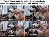 weiter