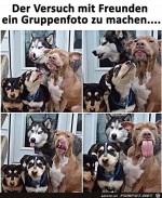 Gruppenfoto-mit-Freunden.jpg auf www.funpot.net