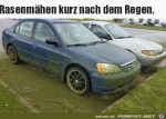 Rasenmhen-nach-dem-Regen.jpg auf www.funpot.net