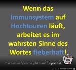 Das-Immunsystem.jpg auf www.funpot.net