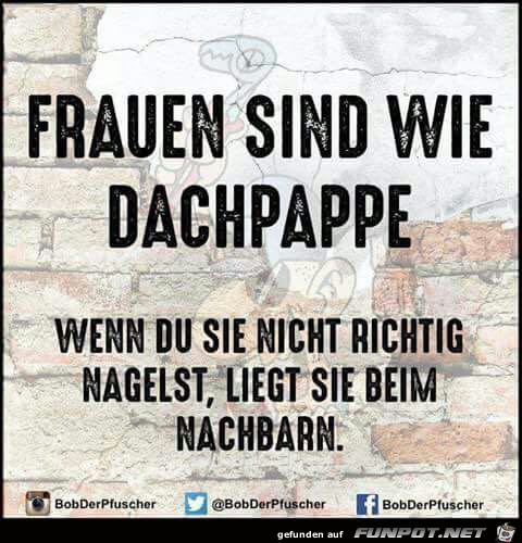 Frauen sind wie Dachpappe Frauen sind wie Dachpappe