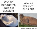 Die-Realitt-ist-ernchternd.jpg auf www.funpot.net