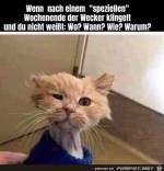 Total-verblasen.jpg auf www.funpot.net