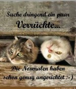 suche-dringend-ein-paar-Verrckte.jpg auf www.funpot.net