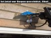 weiter