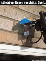 Toller-Regenschutz.jpg auf www.funpot.net