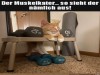 weiter