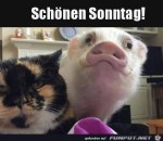 Schnen-Sonntag.jpg auf www.funpot.net