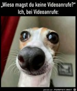Beim-Videoanruf.jpg auf www.funpot.net