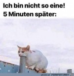 Nicht-so-eine.jpg auf www.funpot.net