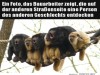 weiter