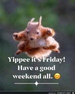 YIPPEE.jpg auf www.funpot.net