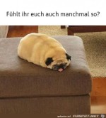So-fhlt-sich-wohl-jeder-ab-und-zu.jpg auf www.funpot.net