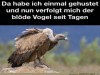 weiter