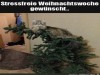 weiter