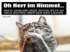 weiter