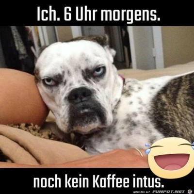 Ich-um-6-Uhr-ohne-Kaffee.jpg von Elena