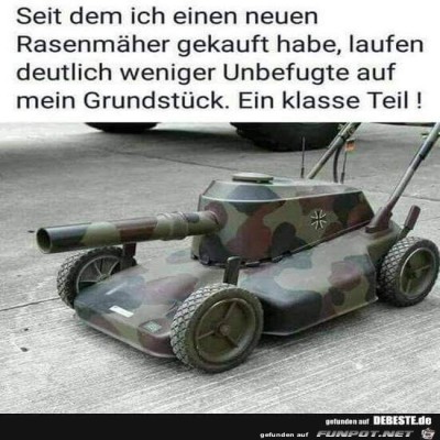 Rasenmaeher.jpg von Maddin