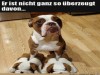 weiter