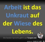 Arbeit-ist-Unkraut.jpg auf www.funpot.net