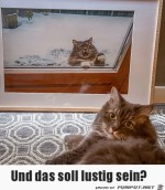 Gar-nicht-lustig.jpg auf www.funpot.net