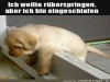 weiter