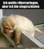 Mder-Welpe.jpg auf www.funpot.net