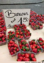 Tolle-Bananen.jpg auf www.funpot.net