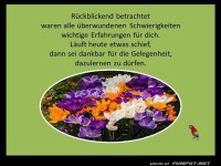 Rueckblickend betrachtet