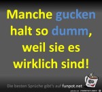 Manche-sind-wirklich-dumm.jpg auf www.funpot.net