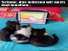 weiter