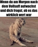 War-es-das-wert?.jpg auf www.funpot.net