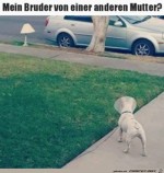 Der-andere-Bruder.jpg auf www.funpot.net
