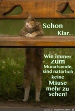 Schon-klar.jpg auf www.funpot.net