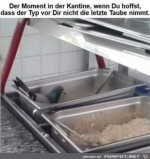 Es-gibt-Taube-zum-Mittagessen.jpg auf www.funpot.net