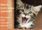 Heute-schon-gelchelt?.jpg auf www.funpot.net