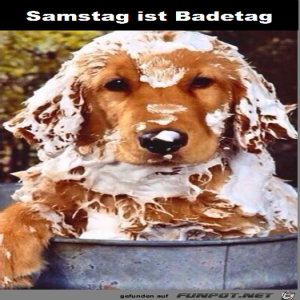 Begrüßungsbild