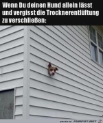 Hund-alleine-lassen.jpg auf www.funpot.net