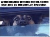 weiter