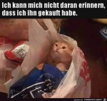 Wo-kommt-die-Katze-her?.jpg auf www.funpot.net