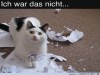 weiter