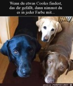 Von-jeder-Farbe-einer.jpg auf www.funpot.net