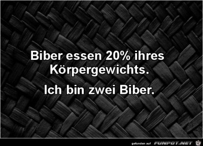 Biber.jpg von Friedi