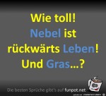 Nebel.jpg auf www.funpot.net
