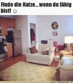 Wo-ist-die-Katze?.jpg auf www.funpot.net